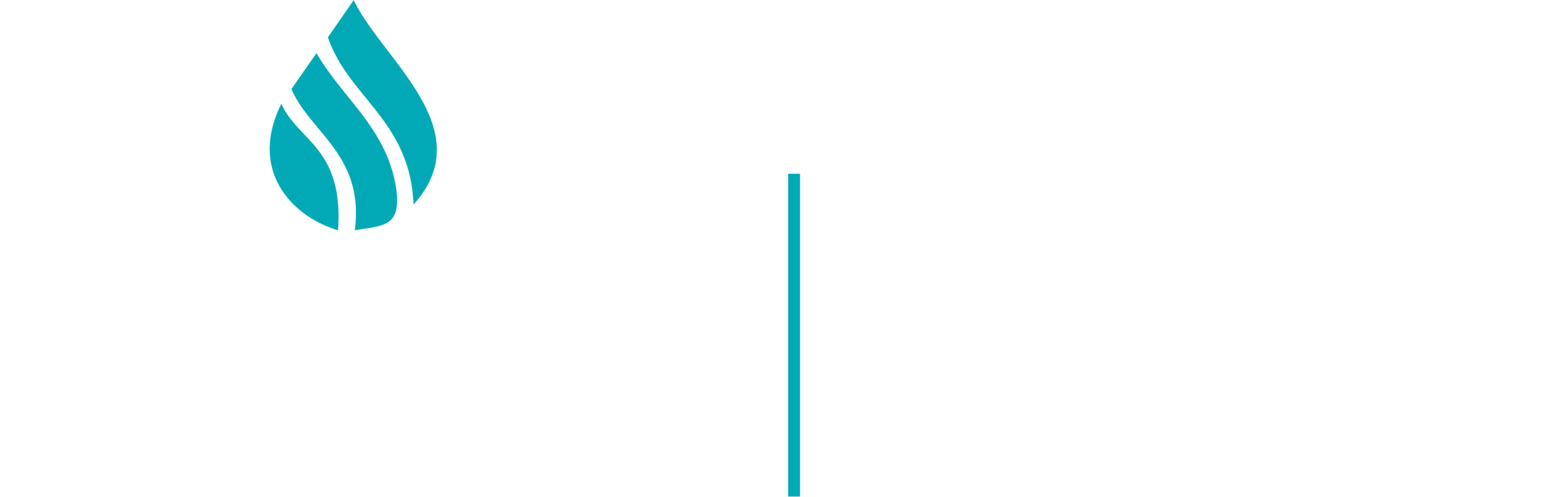Fiib-2